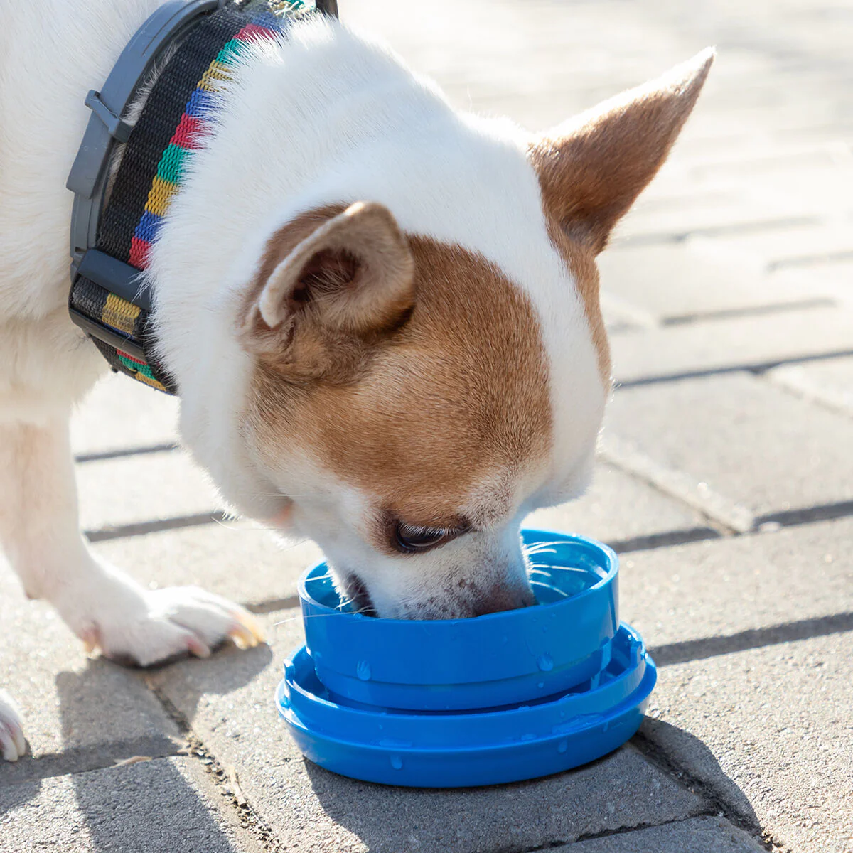 Imagen del producto 7